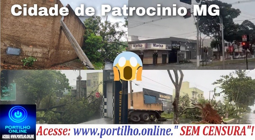 👉🌧️💥⚡🌬️🍃☠️🌲📢😱Vários vídeos e fotos dos estragos causados pelas chuvas e vento fortes na cidade de Patrocinio