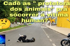 👉🤔😡👎🐕‍🦺🐕🦮🚑🚒🚧Cachorro avança em motociclista e provoca acidente, Cadê as tão faladas “cuidadoras dos animais”?! 🥱