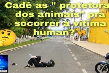 👉🤔😡👎🐕‍🦺🐕🦮🚑🚒🚧Cachorro avança em motociclista e provoca acidente, Cadê as tão faladas “cuidadoras dos animais”?! 🥱