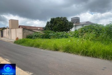 👉 Cadê a fiscalização do urbanismo?!😡👎👎😡🦂🕷️🐀👊Bom dia! Mais uma vez como sempre os Lotes do senhor Ivo de Castro está assim