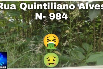 👉📢😡🫵👎Lote e residência assombrada!!🕷️🦂🦟🐁🐸🐍Portilho bom dia eu preciso de