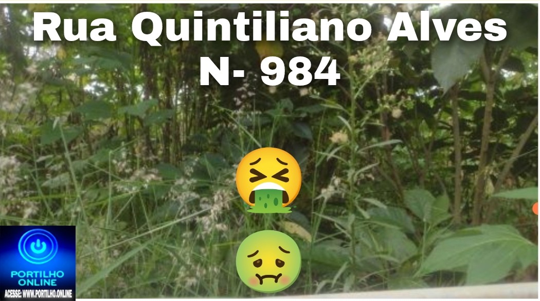 👉📢😡🫵👎Lote e residência assombrada!!🕷️🦂🦟🐁🐸🐍Portilho bom dia eu preciso de