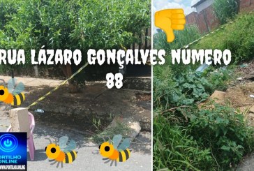 👉🐝🤧🤢😡📢🤮🫵😡Ôi Portilho tudo bem aqui é o Marcelo daquele lote que eu te mandei as foto.