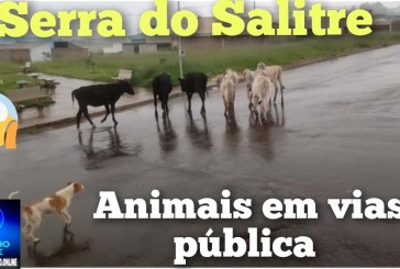 👉📢🫵😱🐎🦬🐂🐄🐖Serra do Salitre: Portilho Denúncia Anônima