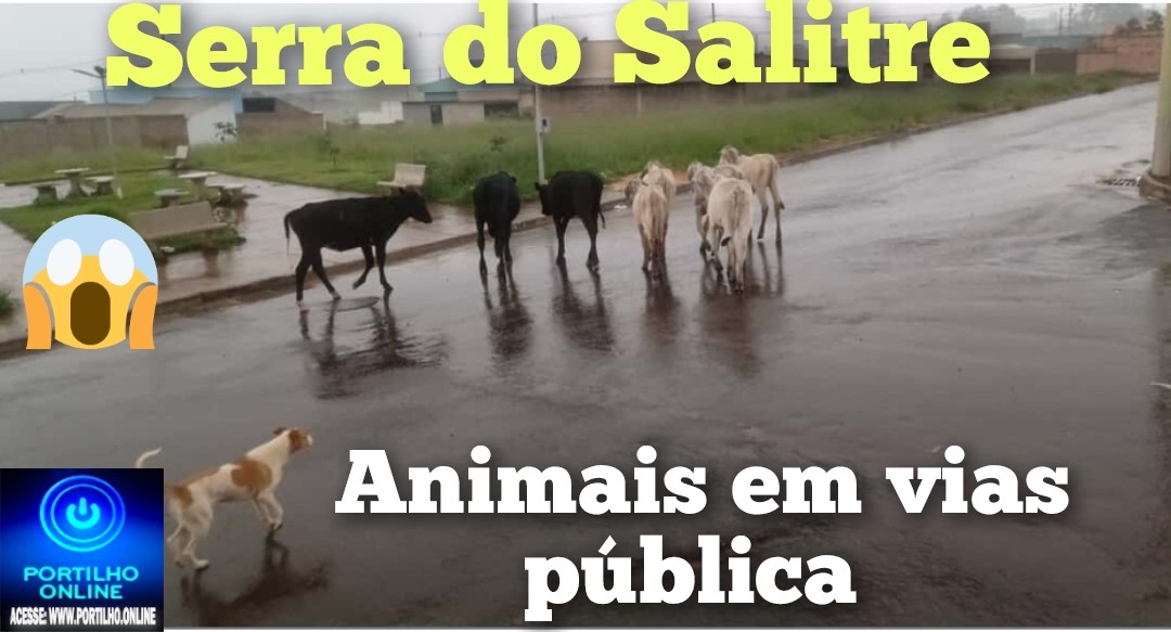 👉📢🫵😱🐎🦬🐂🐄🐖Serra do Salitre: Portilho Denúncia Anônima