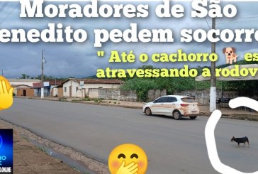 👉😡👎🤝🐍🐸🕸️🕷️🦂🦟Moradores de Salitre e são Benedito pedem socorro devido ao matagal