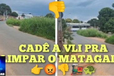 👉😡👎🚂🐢🧹🚧😠🚂🚂🚂A empresa VLI não limpa nem as margens da linha férrea? A coisa tá feia.Boa tarde Portilho!! Tudo bem?