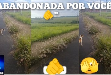👉🫣🫵😱🤔😡😠😤Abandonadas “por você 🫵”: as duas pracinhas e suas adjacências