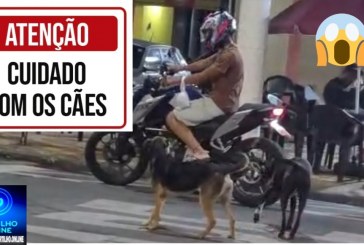👉🤔😠🐕‍🦺🦮🐕Cães continuam atacando motociclistas e pedestres: cadê as “protetoras dos animais”? 🫣