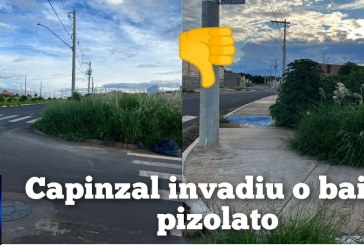 👉😱😡🐍🐁🐭🤮🦟🪰🦂😤Boa tarde Portilho. Quero fazer uma denúncia. Olha aí a situação