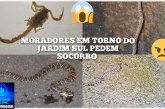 👉👉😡🤔🫵😱🐀🕷️🦂🕸️Os moradores do jardim sul pede socorro!!!Bom dia Portilho. Tem como vc fazer uma matéria pra nós por favor.