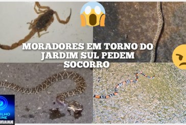 👉👉😡🤔🫵😱🐀🕷️🦂🕸️Os moradores do jardim sul pede socorro!!!Bom dia Portilho. Tem como vc fazer uma matéria pra nós por favor.