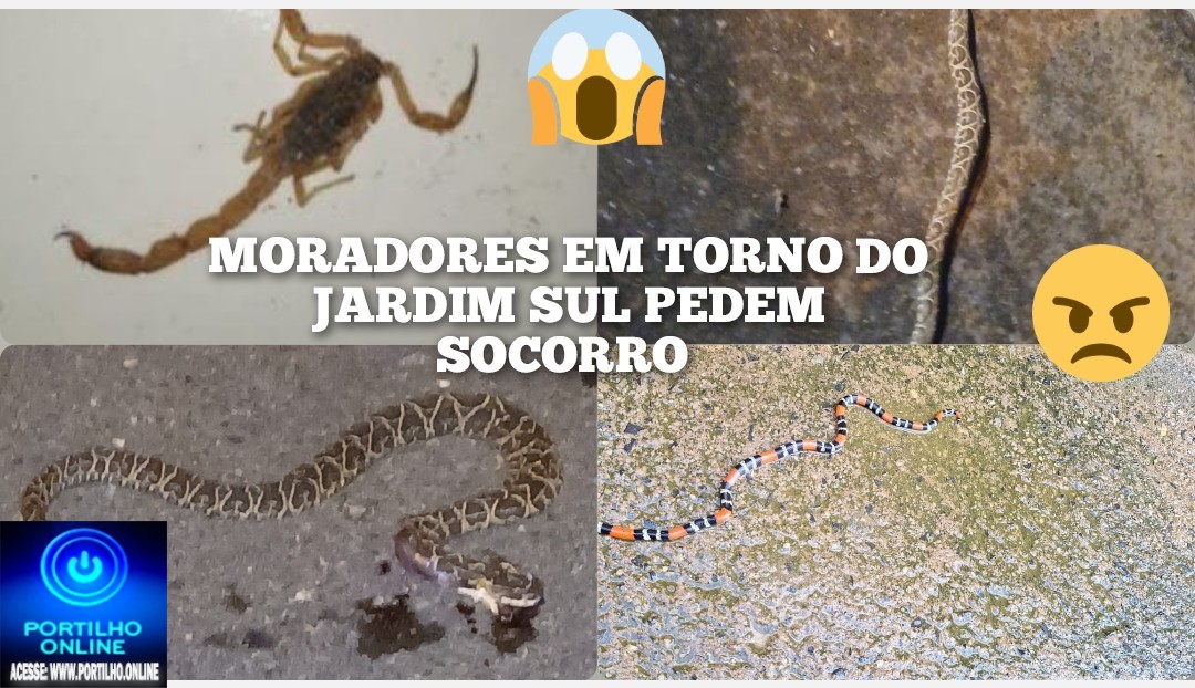 👉👉😡🤔🫵😱🐀🕷️🦂🕸️Os moradores do jardim sul pede socorro!!!Bom dia Portilho. Tem como vc fazer uma matéria pra nós por favor.