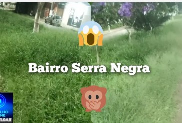 👉🫵😱🤔🫣🚧Bairro Serra Negra:Boa noite Portilho quero fazer uma de uma denuncia