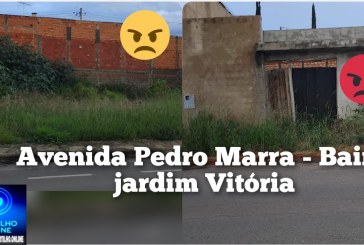 👉😡🫵👎🦎🐀🐁🦂🕷️🕸️🦟🪰🐍🐸Portilho posta ai pra mim esse lotes aqui na avenida Pedro marra tudo sujo