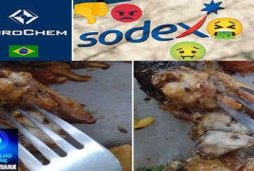 👉 EUROCHEM SERRA DO SALITRE.🤢🤮👎😡 🪰 🤮 🤢 🪰 Boa tarde Portilho o ” cardápio Sodexo é servir bichos e larvas na comidas