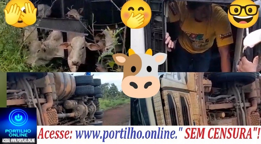 👉😱😂🫵🛣️🐮🦬🐃🐂🐄Caminhão carregado de “bolsomínios” tomba na BR-365, próximo à PIF PAF