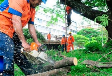 👉🤔😡😡😠Denúncia de corte de árvores em Salitre de Minas 👉🌳🌲📢🫵