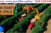 📢🫵🤙🤝🐄🐎📌 Procuro emprego em fazenda, Nerciele dos Santos. Eu sou operador de máquina