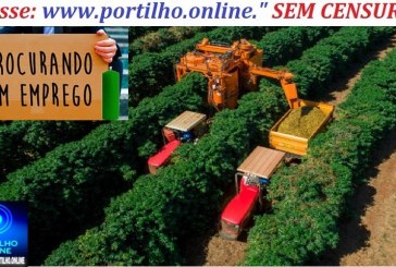 📢🫵🤙🤝🐄🐎📌 Procuro emprego em fazenda, Nerciele dos Santos. Eu sou operador de máquina