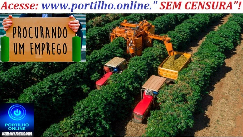 📢🫵🤙🤝🐄🐎📌 Procuro emprego em fazenda, Nerciele dos Santos. Eu sou operador de máquina