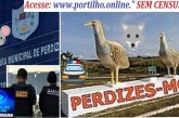 👉😱 PERDIZES… 🚔🚨🐀🔎👀🔍Alô GAECO, Polícia Federal e Ministério Público de MG. 🕵🐭🧐🤫🤔