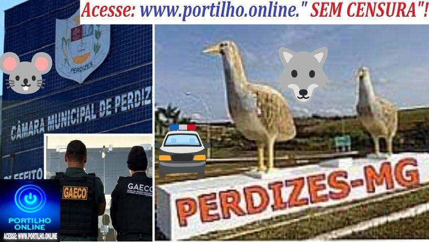 👉😱 PERDIZES… 🚔🚨🐀🔎👀🔍Alô GAECO, Polícia Federal e Ministério Público de MG. 🕵🐭🧐🤫🤔