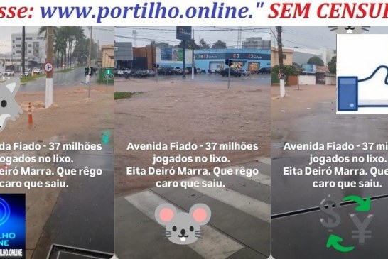 👉👎🚔📢👽” MATILHA DE RATOS” 🚁👿💰💸🐁🐀🐭🐺“Avenida Fiado”: as máscaras estão caindo da ex-administração