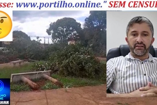 👉👿🤔⚖🚨🚔🚧😠🌳🌳🌳🌳Iraí de Minas –  Prefeito Cleitim mandou arrancar todas as arvores centenárias da praça.