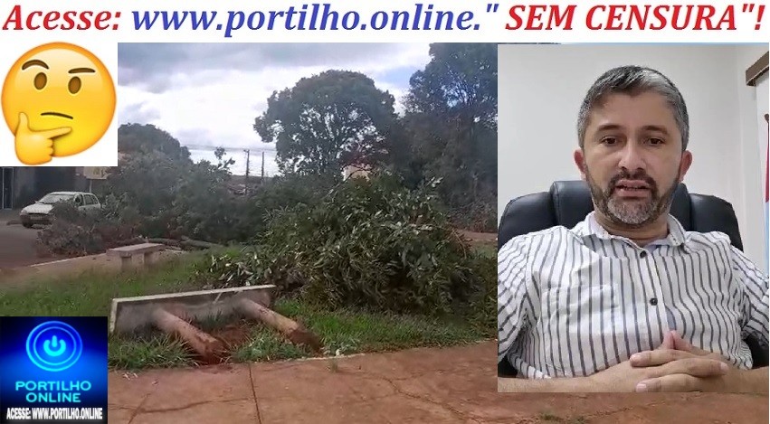 👉👿🤔⚖🚨🚔🚧😠🌳🌳🌳🌳Iraí de Minas –  Prefeito Cleitim mandou arrancar todas as arvores centenárias da praça.