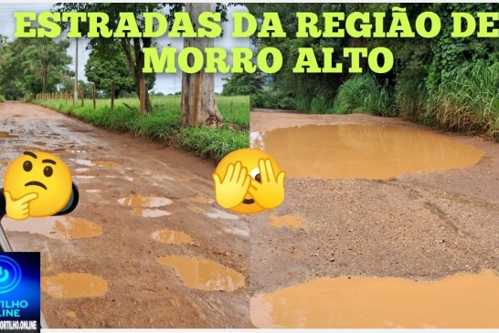 👉👎🫵🛣️🚌🤔✂️Morro alto. 🛣️ Estradas rurais 🛣️ Portilho Boa tarde. Nossos filhos não estão indo a escola