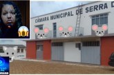 👉🏻📢🫵🏻🧐😱🐀🐁🚔🚨💸⚖️💰🔦🔍🐭🔎Serra do Salitre: Vereadora Grazielle denuncia altos salários e supostas horas extras não cumpridas