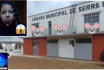 👉🏻📢🫵🏻🧐😱🐀🐁🚔🚨💸⚖️💰🔦🔍🐭🔎Serra do Salitre: Vereadora Grazielle denuncia altos salários e supostas horas extras não cumpridas