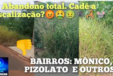 👉🏻📢🤔🐍👎🏻🪳🐭😡🤮🤢🕷️🦂Reclamações sobre lotes abandonados são encaminhadas à Secretaria de Urbanismo