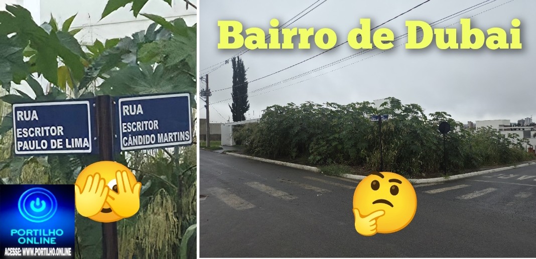👉🏻📢👎🏻😡🫣🤔🚨 LOTE ABANDONADO NO BAIRRO MARTIM GALEGO REVOLTA MORADORES