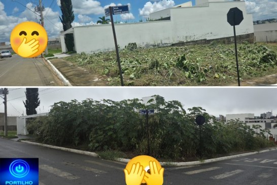  📢🤔👉🏻🫵🏻😂📣Lote é limpo em menos de 24 horas após matéria no Portilho Online