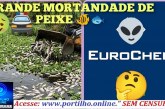 👉🏻💀☠️🐠🐟🤔😱😡 Boa tarde Portilho. A mineradora EUROCHEM provoca mortandade de milhares de peixes   na barragem do 🫧 SABÃO – 2🫧.