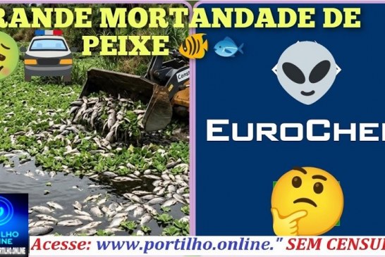 👉🏻💀☠️🐠🐟🤔😱😡 Boa tarde Portilho. A mineradora EUROCHEM provoca mortandade de milhares de peixes   na barragem do 🫧 SABÃO – 2🫧.
