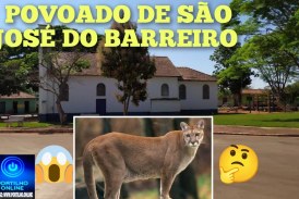 👉🏻😱🧐 Perigo ⚡ 🐆🐅🚨🚔🚧👀📢Vídeo -Onça assusta moradores de São do Barreiro – Iraí de Minas