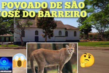 👉🏻😱🧐 Perigo ⚡ 🐆🐅🚨🚔🚧👀📢Vídeo -Onça assusta moradores de São do Barreiro – Iraí de Minas
