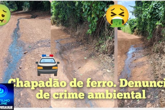 👉🏻📢⚖🚔🚓🫵🏻🚨🔎🕵🏻🔍🤮😤🤢Chapadão de ferro. Denuncia de crime ambiental