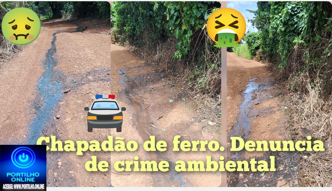 👉🏻📢⚖🚔🚓🫵🏻🚨🔎🕵🏻🔍🤮😤🤢Chapadão de ferro. Denuncia de crime ambiental