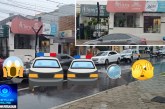 🗣️📢 Viaturas e policiais na loja de ” flores”👉🏻🕵🏻🔍🔎🚨🚔🚓⚖️😱🥀🪷💐 Nem tudo são flores… 😂🥀💐