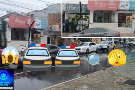 🗣️📢 Viaturas e policiais na loja de ” flores”👉🏻🕵🏻🔍🔎🚨🚔🚓⚖️😱🥀🪷💐 Nem tudo são flores… 😂🥀💐