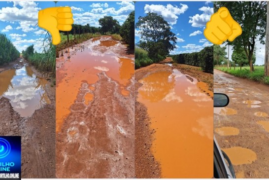 👉🏻🫵🏻👎🏻📢🗣️👣😡🛣️Situações das estradas rurais 🛣️ 👎🏻 📢 😡 🫵🏻 😱 todas as imagens serão postadas 