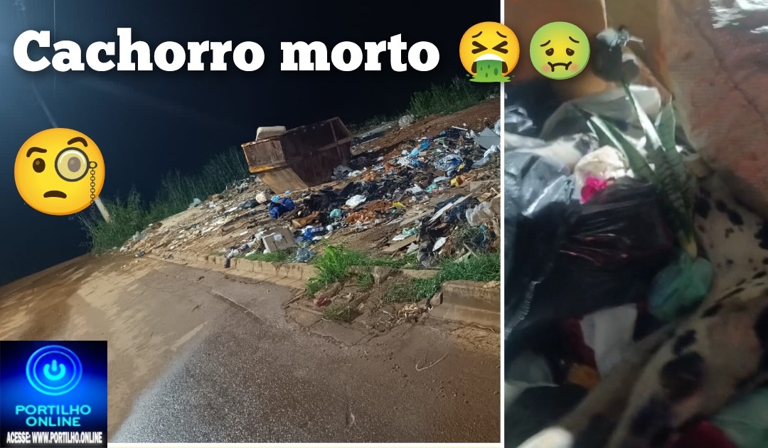 👉🏻😡📢🫵🏻👎🏻🤮🤢😪Portilho Olha o que estão jogando aqui no caçamba  no bicão do bairro serra negra.