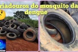 👉🏻😡👎🏻👎🏻👎🏻🦟🦟🦟Pode isso? Prefeitura estocando mosquito da dengue Pode isso?
