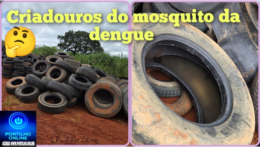 👉🏻😡👎🏻👎🏻👎🏻🦟🦟🦟Pode isso? Prefeitura estocando mosquito da dengue Pode isso?