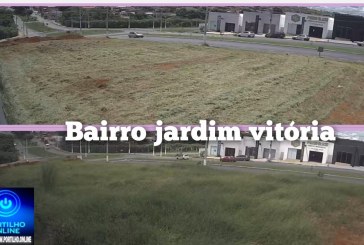 👉🏻🚧👍🏻🤜🏻👊🏻🤛🏻🫴🏻🤝🗣️🫵🏻Após 3 meses, lotes particulares são limpos pela Secretaria de Obras