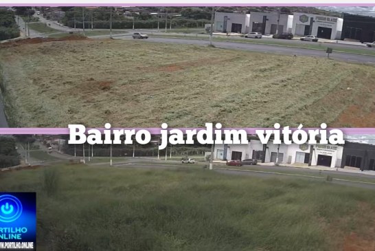 👉🏻🚧👍🏻🤜🏻👊🏻🤛🏻🫴🏻🤝🗣️🫵🏻Após 3 meses, lotes particulares são limpos pela Secretaria de Obras